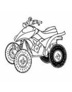 Pneus arriere pour quad Honda TRX 250X 1987