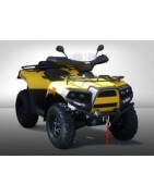 Les differents pneus pour quad Cectek 500 EFI Gladiator SX 2WD disponibles